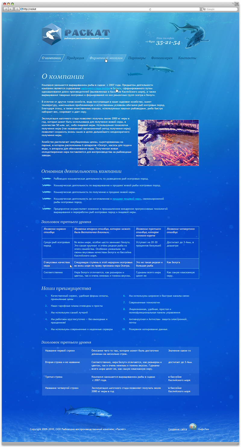 Внутренняя страница сайта РВК Раскат